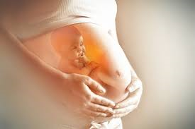 اقدامات پیش از بارداری در بانوان و آقایان کیدز 24